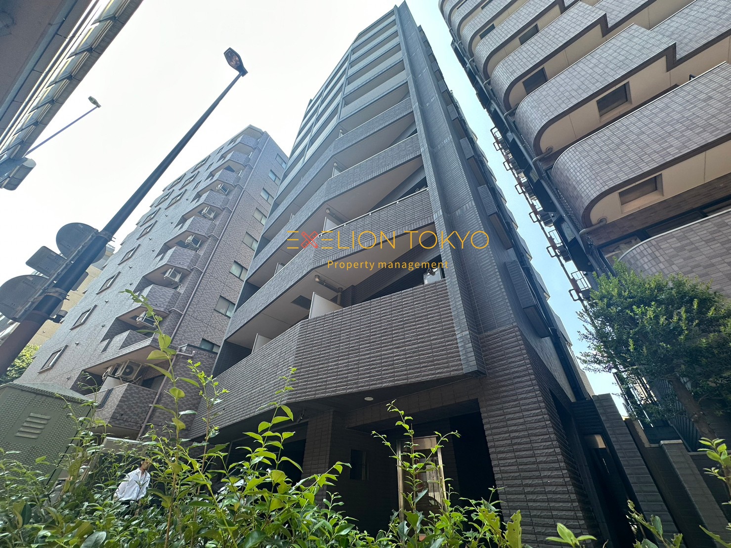 グランデュオ三宿の外観・物件写真